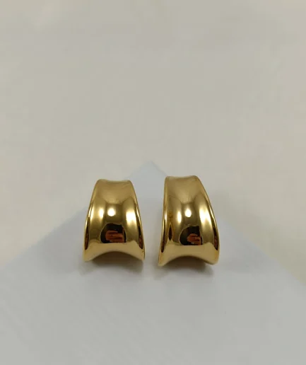 Sleek Curve Earrings,